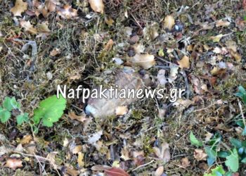 Βρέθηκε χειροβομβίδα του Β’ Παγκοσμίου Πολέμου στη Ναύπακτο
