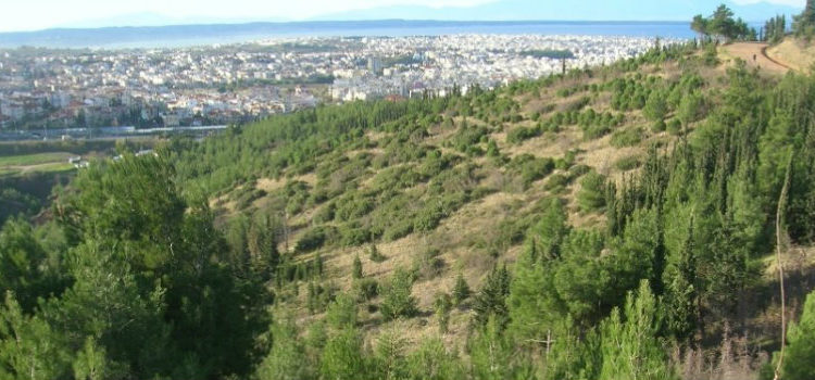 Απαγόρευση κυκλοφορίας στο Σέιχ Σου και σε δασικές περιοχές της Χαλκιδικής