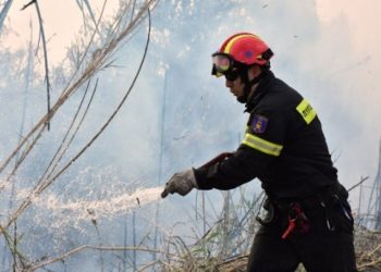 Πυρκαγιά στο ύψος της γέφυρας στη Λυκόβρυση (βίντεο)