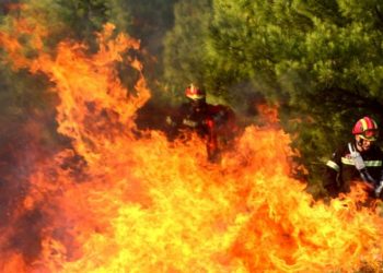 Πυρκαγιά στο Νέο Ικόνιο Περάματος