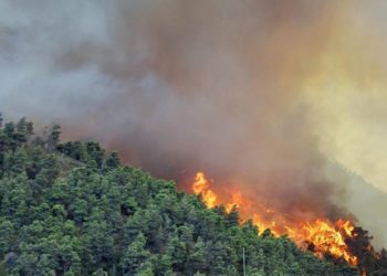 Σε εξέλιξη πυρκαγιά σε δασική έκταση στο Χρυσοβίτσι Αρκαδίας