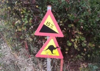 Πινακίδες με καγκουρό και καμήλες στο… Πήλιο