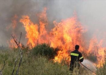Πυρκαγιά σε δασική περιοχή των Μεγάρων