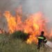 Πυρκαγιά σε δασική περιοχή των Μεγάρων