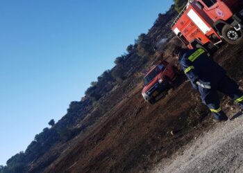 Πρόλαβαν την φωτιά στην Βάρη πριν πάρει διαστάσεις