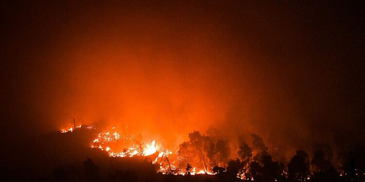 Βίντεο από τις ολονύχτιες προσπάθειες εθελοντών στην πυρκαγιά στα Βίλια