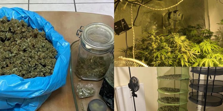 Βραχάτι: Συνελήφθη 62χρονος που καλλιεργούσε κάνναβη στο σπίτι του – Τι βρήκε η ΕΛΑΣ – ΦΩΤΟ