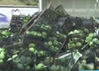 Ανατροπή νταλίκας: Γέμισε λάχανα η Αθηνών-Κορίνου – Έμεινε κλειστή για πάνω από 4 ώρες – ΒΙΝΤΕΟ