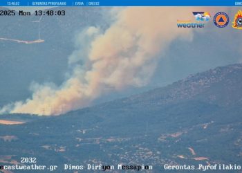 Φωτιά στη Ριτσώνα – Στη «μάχη» με τις φλόγες και εναέρια μέσα – ΦΩΤΟ