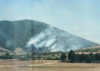 Φωτιά στο Δρέπανο Κοζάνης: Συνελήφθη 75χρονος ως ύποπτος – Έκανε χρήση ηλεκτρικού τροχού – ΦΩΤΟ