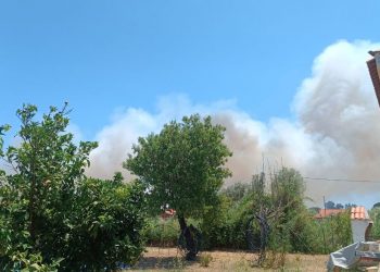 Μεγάλη φωτιά στον Μαραθώνα: Ήχησε το 112 για εκκένωση οικισμού – ΒΙΝΤΕΟ – ΦΩΤΟ