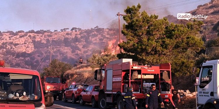 Φωτιά στην Ιεράπετρα: Πολλές και διάσπαρτες οι εστίες που αντιμετωπίζουν οι πυροσβέστες – ΒΙΝΤΕΟ – ΦΩΤΟ