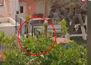 Κρητική μαφία: Οι νέοι διάλογοι που «καίνε» έξω από το σπίτι του λεγόμενου «Στρατηγού» – ΒΙΝΤΕΟ – ΦΩΤΟ