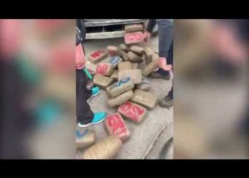 Πάνω από 43 κιλά ακατέργαστης κάνναβης κατασχέθηκαν στο πλαίσιο συντονισμένης επιχείρησης