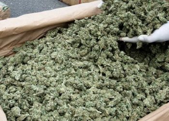 Επιχείρησαν να εισάγουν 27 κιλά κάνναβης – Επεισοδιακή σύλληψη κοντά στα σύνορα   