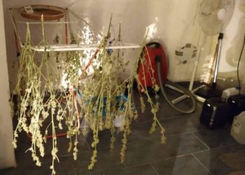 Ανακάλυψαν υδροπονική καλλιέργεια κάνναβης μετά από καταγγελία για… διάρρηξη
