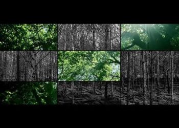 Κοινωνικό μήνυμα Αντιπυρικής Περιόδου 2019