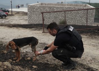 Στη μάχη με τις φλόγες και οι αστυνομικοί (ΦΩΤΟ)