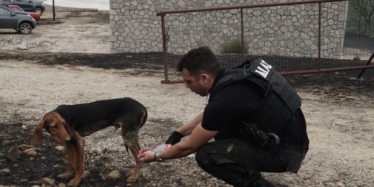 Στη μάχη με τις φλόγες και οι αστυνομικοί (ΦΩΤΟ)