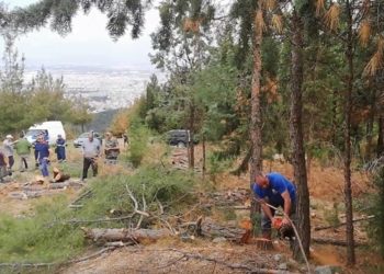 Άγνωστοι κλέβουν τα ξύλα από την αναγκαστική υλοτόμηση στο Σέιχ Σου
