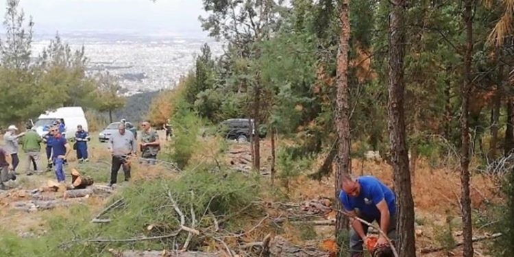 Άγνωστοι κλέβουν τα ξύλα από την αναγκαστική υλοτόμηση στο Σέιχ Σου