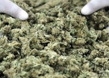 Κατασχέθηκαν περίπου 95 κιλά ακατέργαστης κάνναβης στα Ιωάννινα