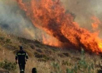 Εύβοια: Νέα πυρκαγιά στην Κύμη