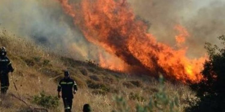 Εύβοια: Νέα πυρκαγιά στην Κύμη
