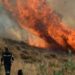 Εύβοια: Νέα πυρκαγιά στην Κύμη