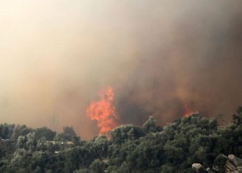 Μάχες σε 32 μέτωπα έδωσε και κέρδισε σήμερα το Πυροσβεστικό Σώμα