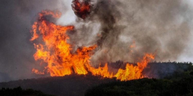 Σε εξέλιξη οι πυρκαγιές στην Εύβοια