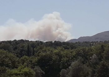 Πυρκαγιά στην Εύβοια – Εκκενώθηκε το Μακρυχώρι (ΒΙΝΤΕΟ)