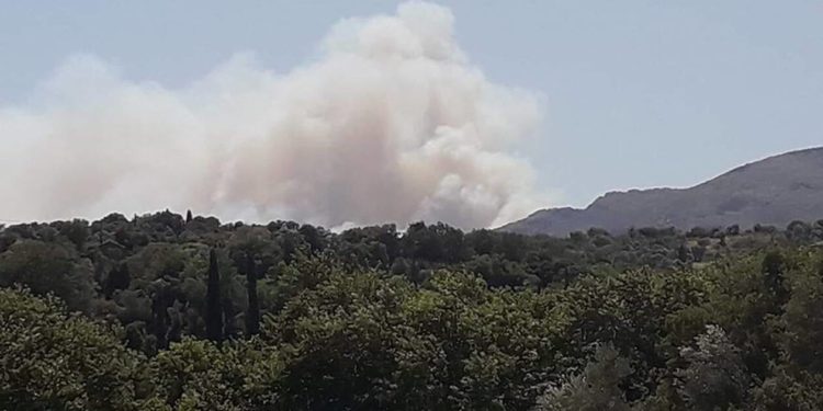 Πυρκαγιά στην Εύβοια – Εκκενώθηκε το Μακρυχώρι (ΒΙΝΤΕΟ)