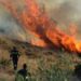 Σύλληψη 41χρονου για πρόκληση πυρκαγιάς από αμέλεια