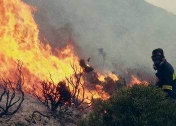 Μ. Χάλαρης: Οι χορηγίες σώζουν την Πυροσβεστική