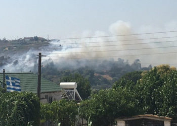 Πυρκαγιά στον λόφο Φοίνικα στα Σπάτα