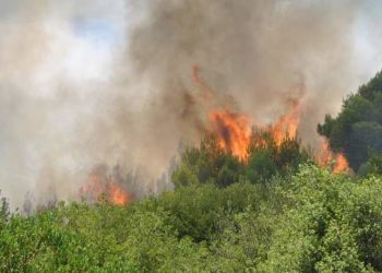 Έκτακτη Συνεδρίαση του Συντονιστικού Οργάνου Πολιτικής Προστασίας