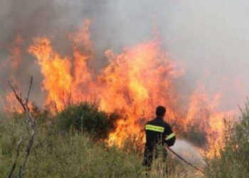 Καταγγέλλουν ότι άφησαν διψασμένους και νηστικούς τους Πυροσβέστες στον Κιθαιρώνα