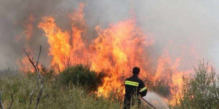 Καταγγέλλουν ότι άφησαν διψασμένους και νηστικούς τους Πυροσβέστες στον Κιθαιρώνα