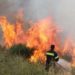 Καταγγέλλουν ότι άφησαν διψασμένους και νηστικούς τους Πυροσβέστες στον Κιθαιρώνα