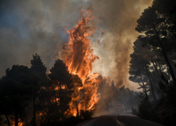 Εύβοια: Όλα τα ενδεχόμενα ανοιχτά για τα αίτια της πυρκαγιάς – Τι ερευνούν οι ανακριτικοί υπάλληλοι του Πυροσβεστικού Σώματος