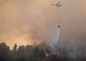 Πυρκαγιά στην Εύβοια: Καίει δάσος Natura – Σε ετοιμότητα για εκκένωση δύο χωριά 