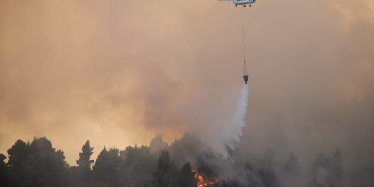 Πυρκαγιά στην Εύβοια: Καίει δάσος Natura – Σε ετοιμότητα για εκκένωση δύο χωριά
