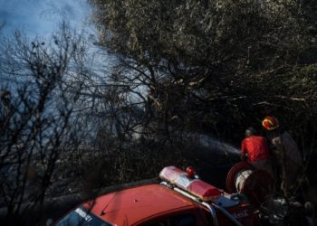 Υπό πλήρη έλεγχο η πυρκαγιά στη Θάσο