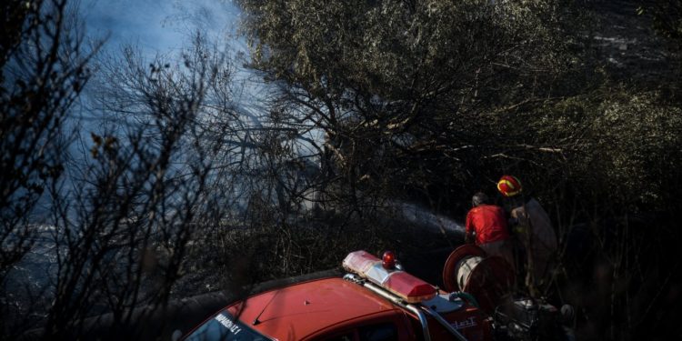 Υπό πλήρη έλεγχο η πυρκαγιά στη Θάσο