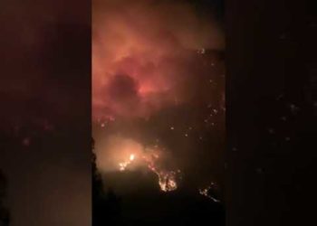 Εύβοια: Η μάχη των πυροσβεστών για τον έλεγχο των αναζωπυρώσεων