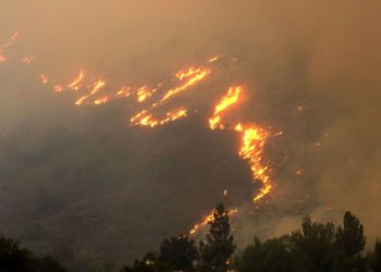 Ένας παλιός “γνώριμος” στο στόχαστρο της έρευνας για τη φωτιά στην Εύβοια