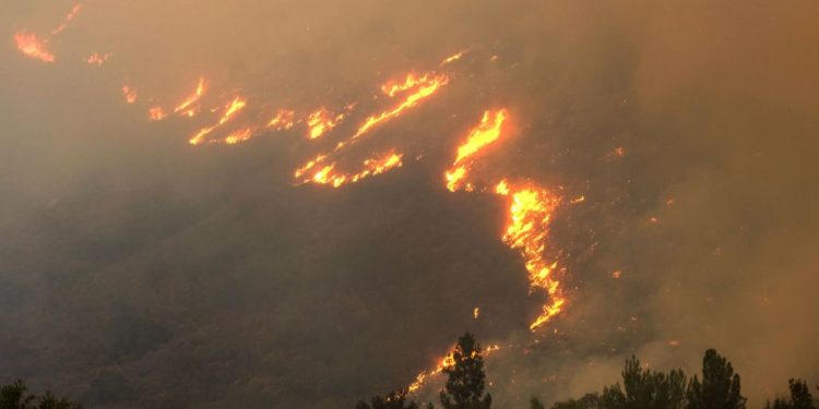 Ένας παλιός “γνώριμος” στο στόχαστρο της έρευνας για τη φωτιά στην Εύβοια