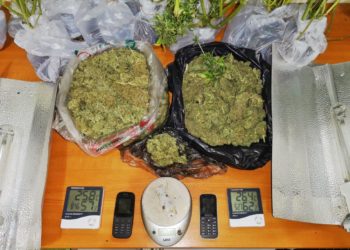 Συνελήφθη 38χρονος για υδροπονική καλλιέργεια δενδρυλλίων κάνναβης  στο Λαγονήσι