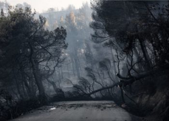 Στουπιά, μπιτόνια και γκαζάκια στο σημείο που ξεκίνησε η φωτιά της Εύβοιας